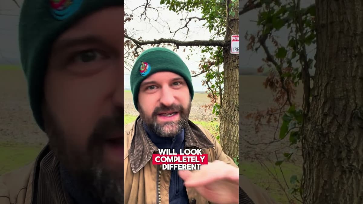 The Universal Studios UK site could look VERY different in a few months time #amusementpark