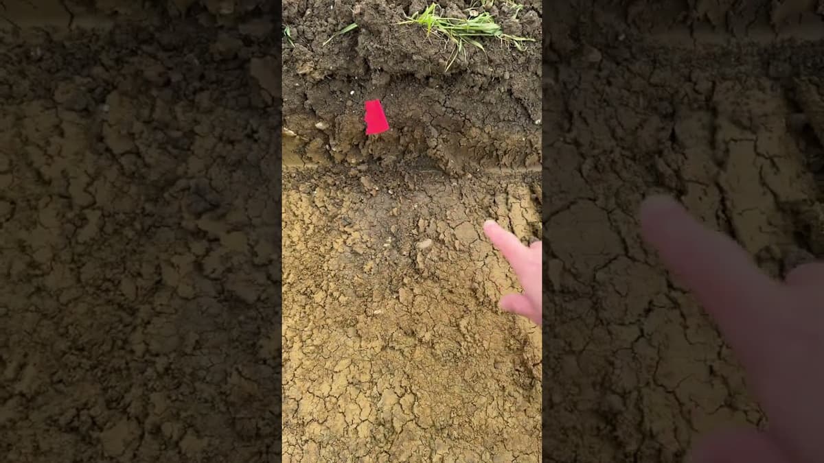 Has history been uncovered at Universal Studios GB?  #UniversalStudiosUK #UniversalStudios