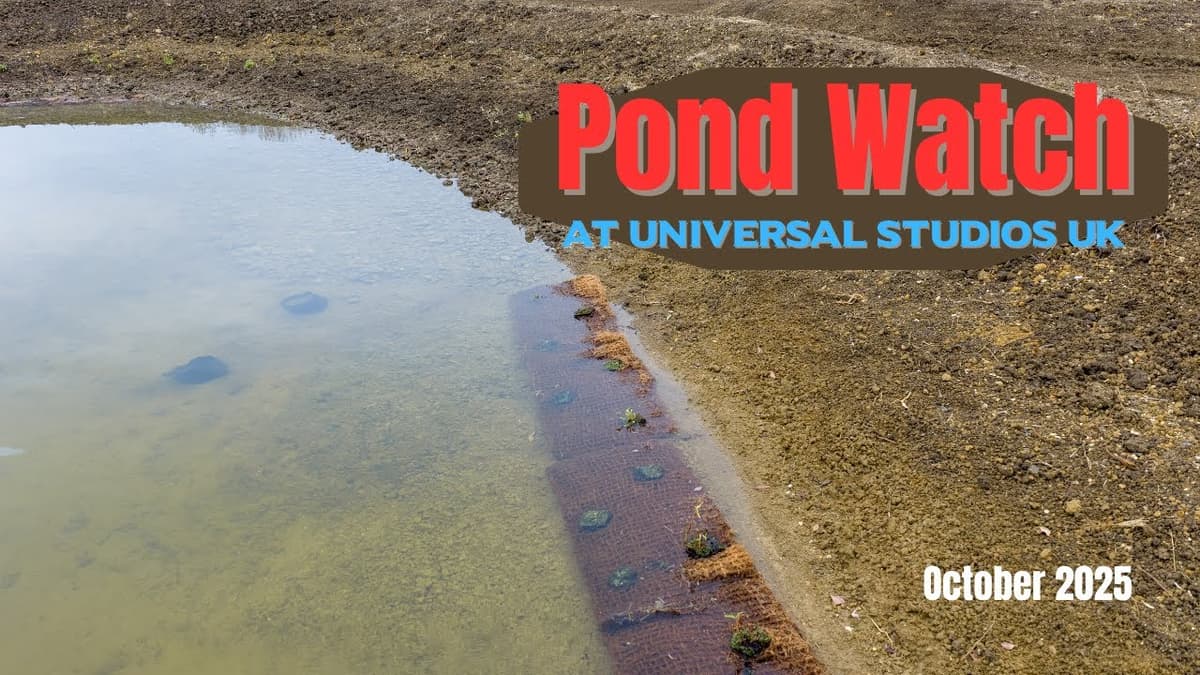 Universal Studios UK - New Construction on site. Mid October update #1