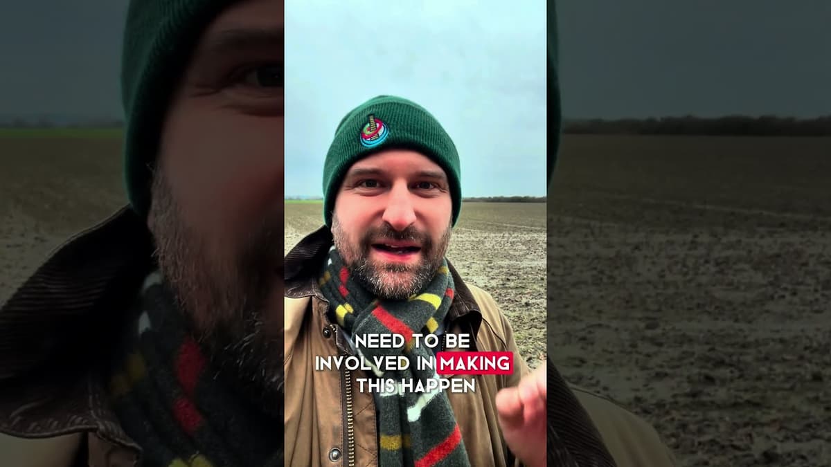 Is Universal Studios in Bedford in trouble? #universalparks #rollercoaster #universalstudio