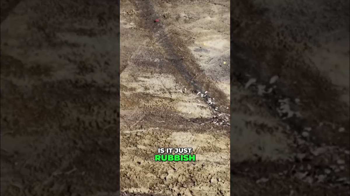 What was unearthed at this construction site? We explore intriguing features, f…